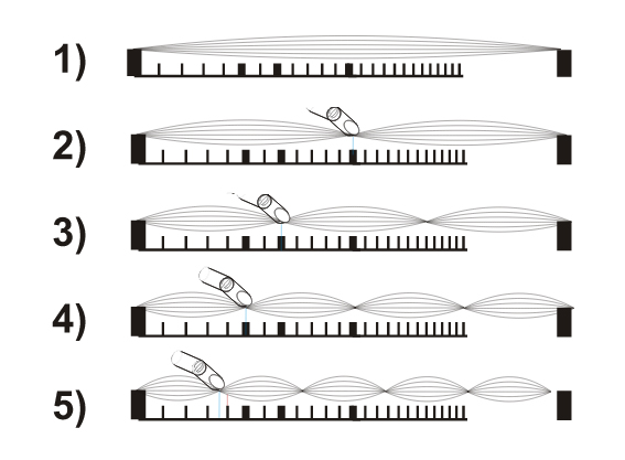 22 frets vs 24 frets graphic