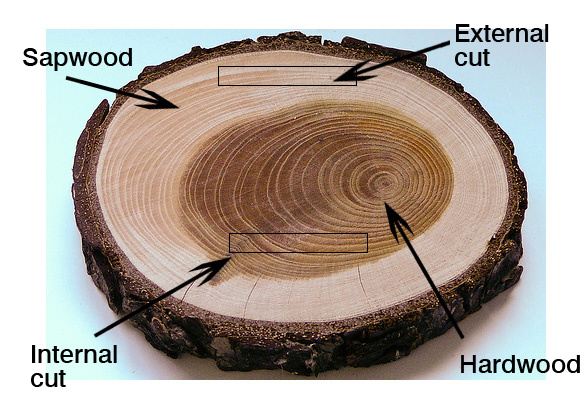 How to cut guitar wood